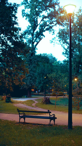 Bench by lamp post